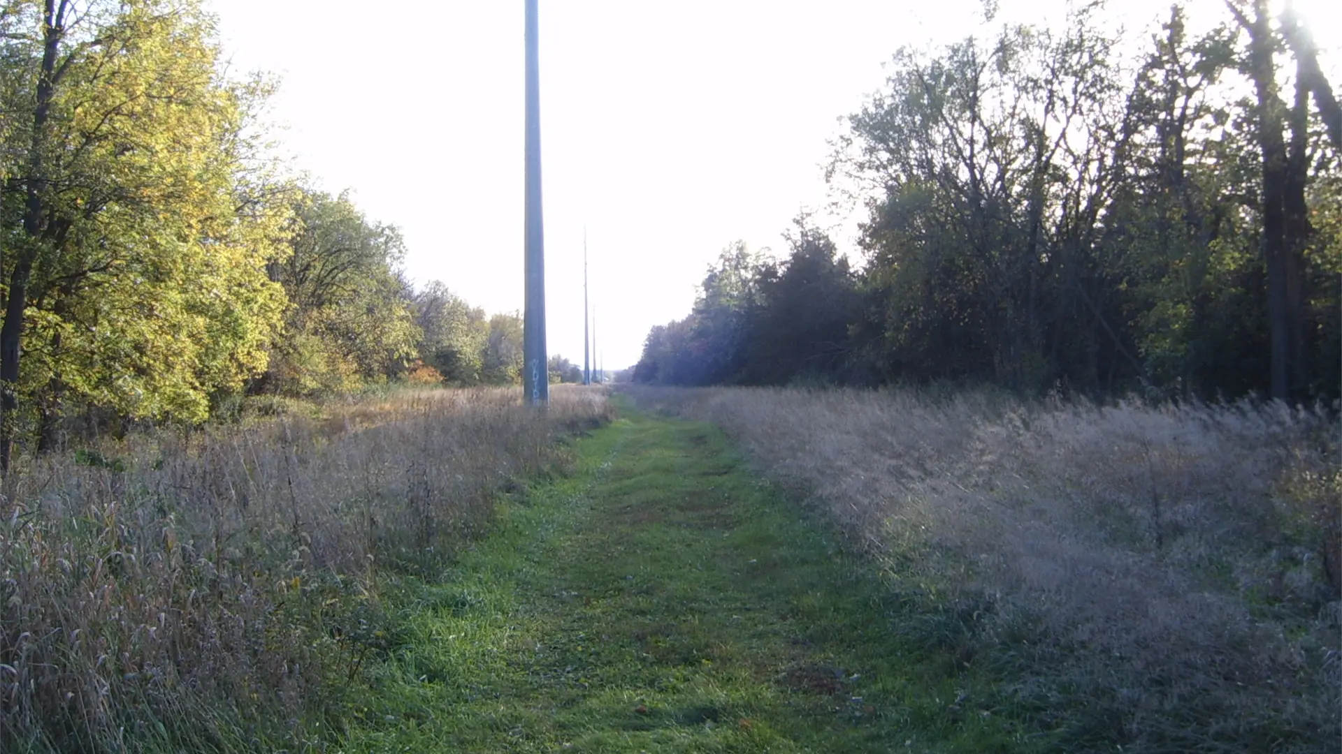 A side trail of seemingly endless grass.